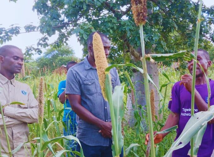 Animators lead Malawi’s fight against climate crisis