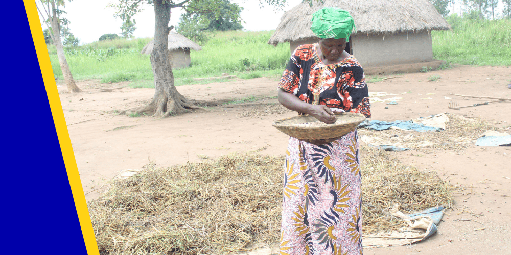 World Food Day 2021: The joy of providing food for your family 