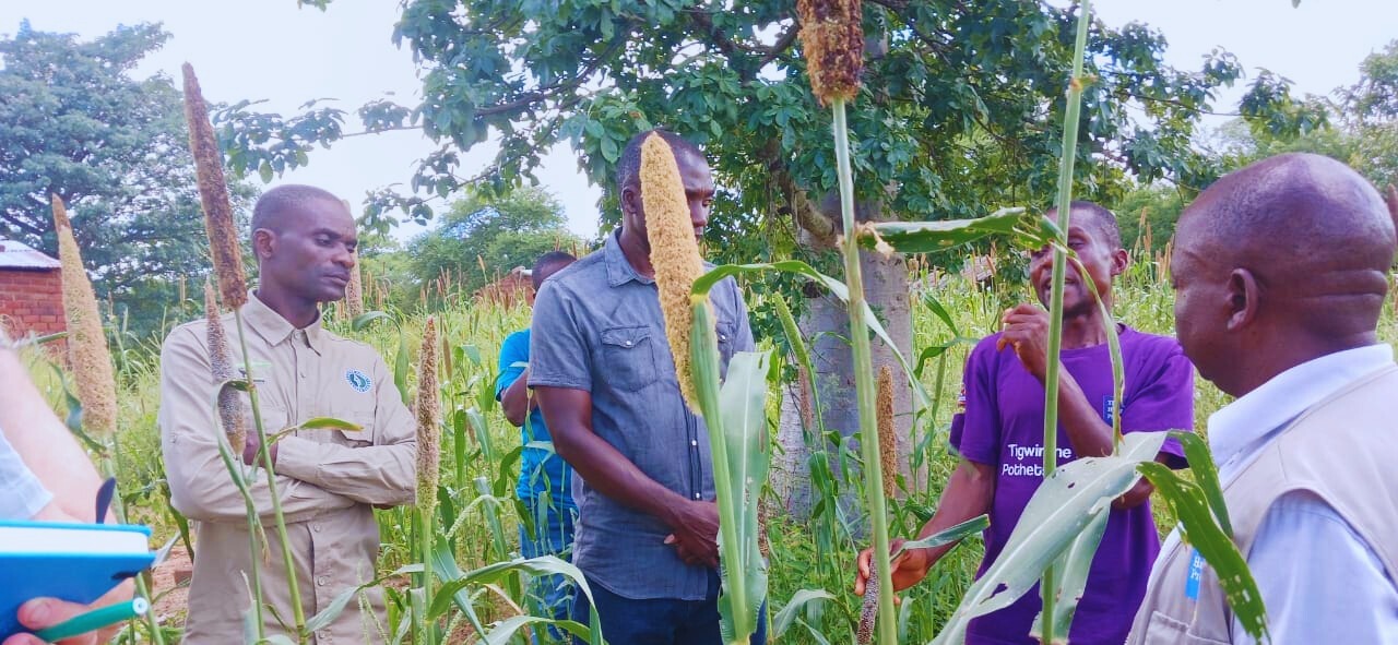 Malawi-2025-©-The-Hunger-Project - Edited