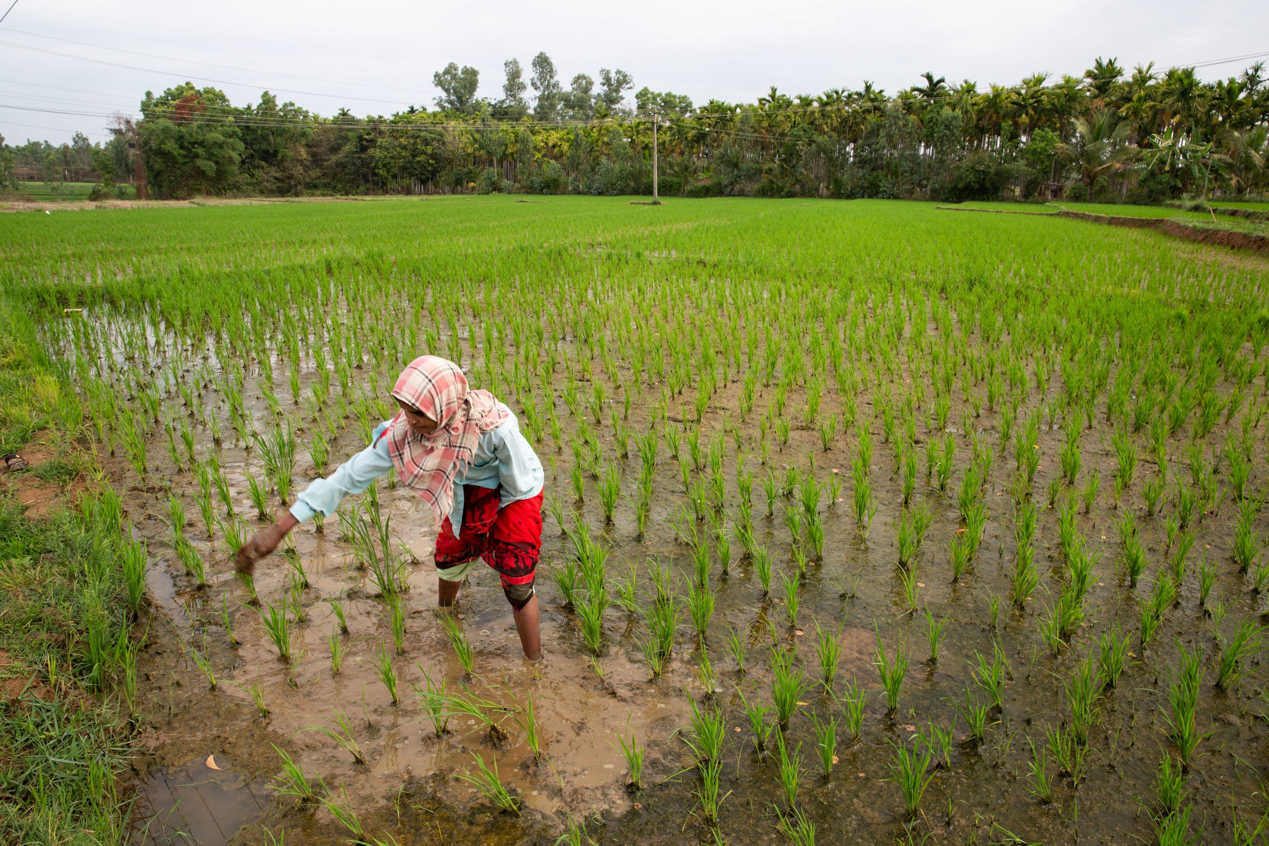 World Food Day: Water is life, water is food. Leave no one behind.