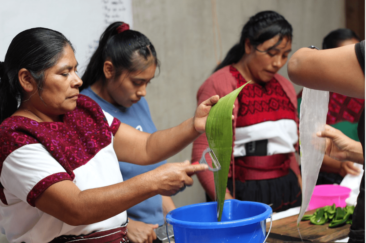 Voices from Mexico