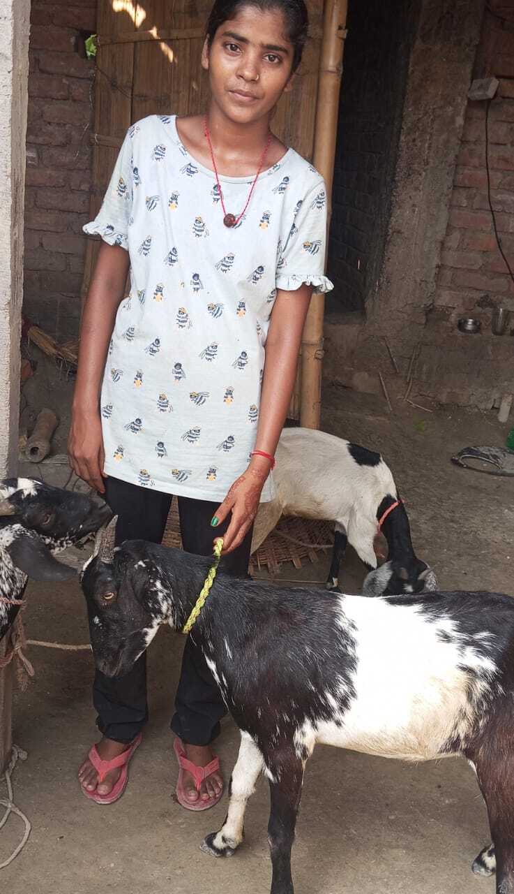 Reema Kumari with goats