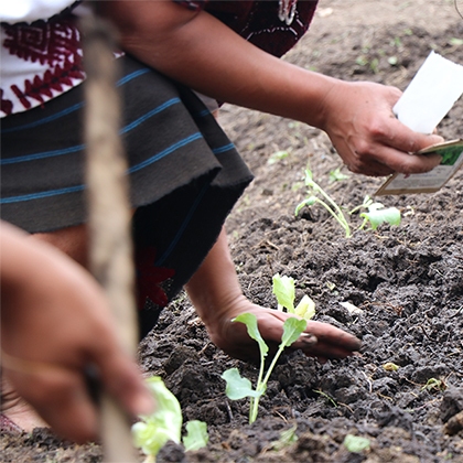 community-mobalization