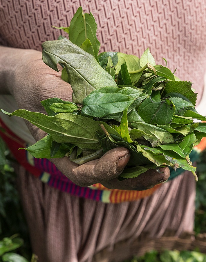 Ethiopia-Guday-Tirfe-Johannes-Odee---The-Hunger-Project-2019