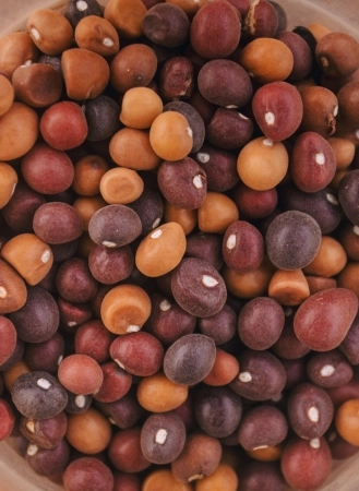 Thomas-iganga-thp30-1