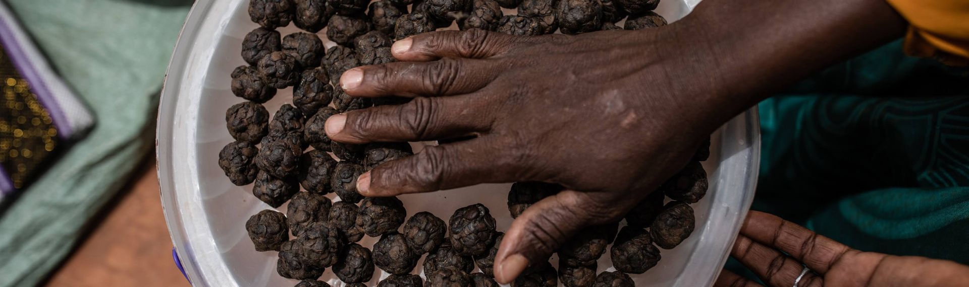 WORLD HUNGER FACTS 2023 intelligence overview