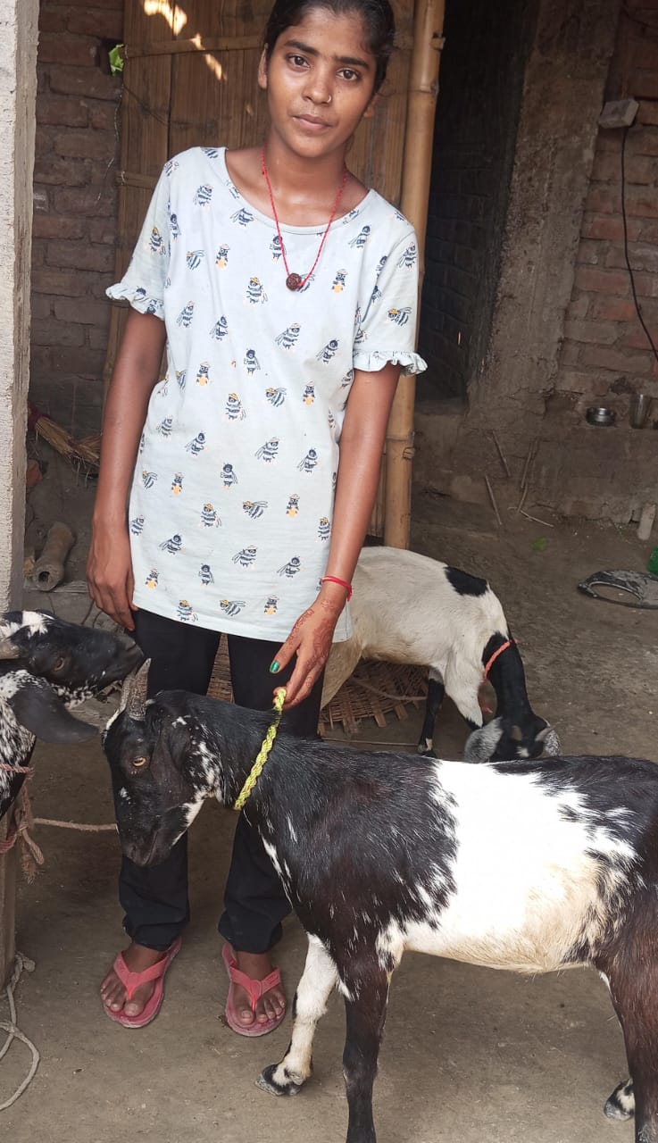 Reema Kumari with goats